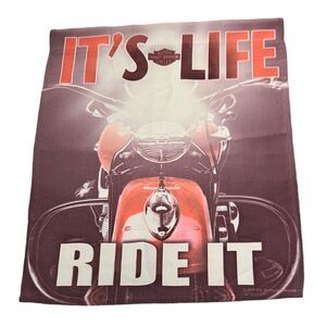 HARLEY-DAVIDSON FLAG SIGN WALL HANGING DECOR VINTAGE DISTRESSED MUTED 2009